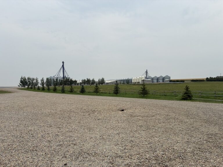 04 IMG 0869