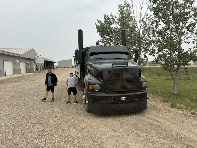 06 IMG 0871