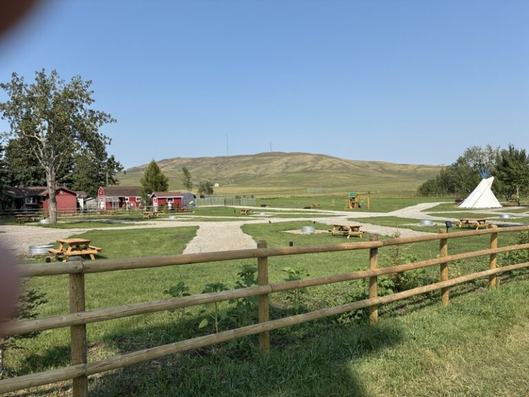 34 IMG 0838