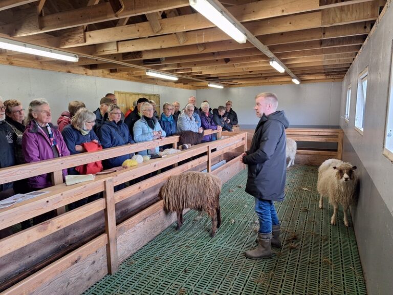 09 25 05 10 03a Fårehuset Navia