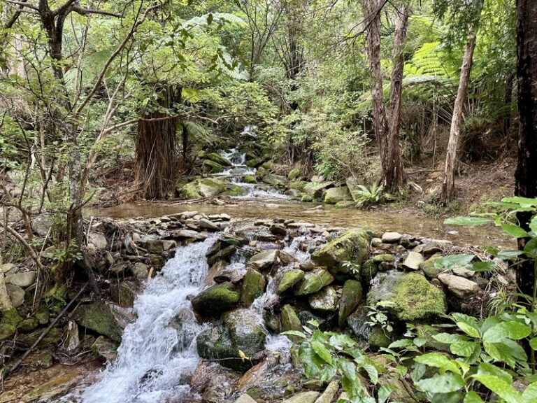 04 FullSizeRender(2)