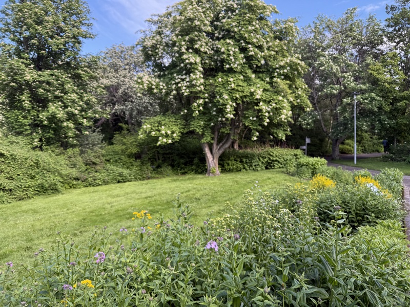 32 IMG 0905