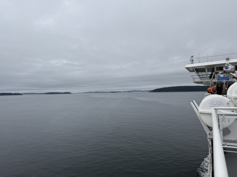 01 IMG 1658