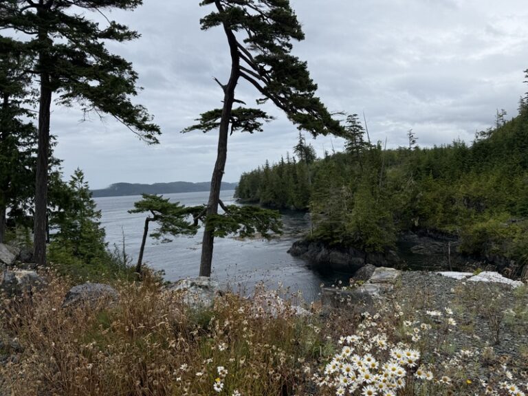 34 IMG 1937