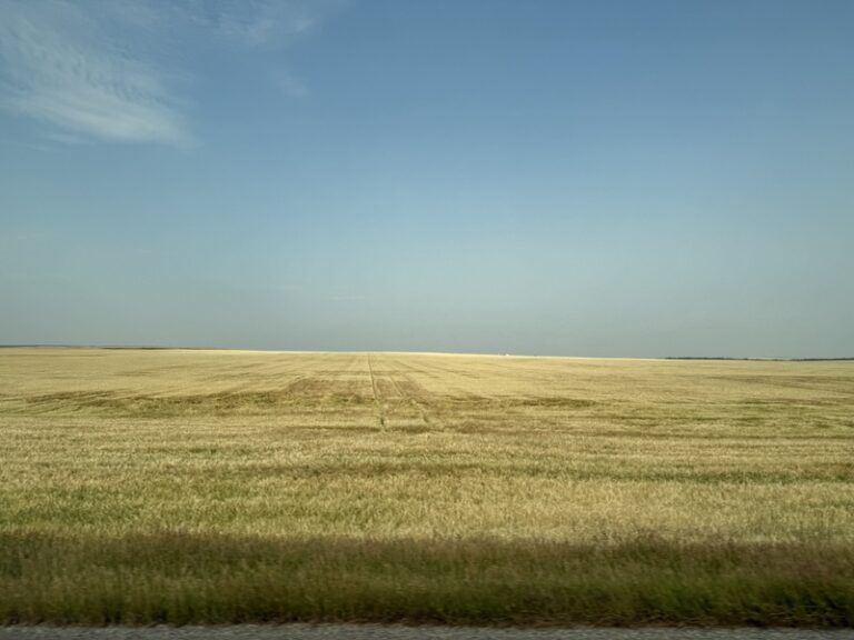 03 IMG 2816