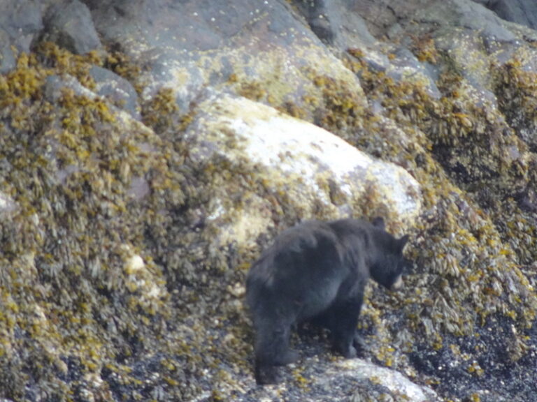 09 DSC02080