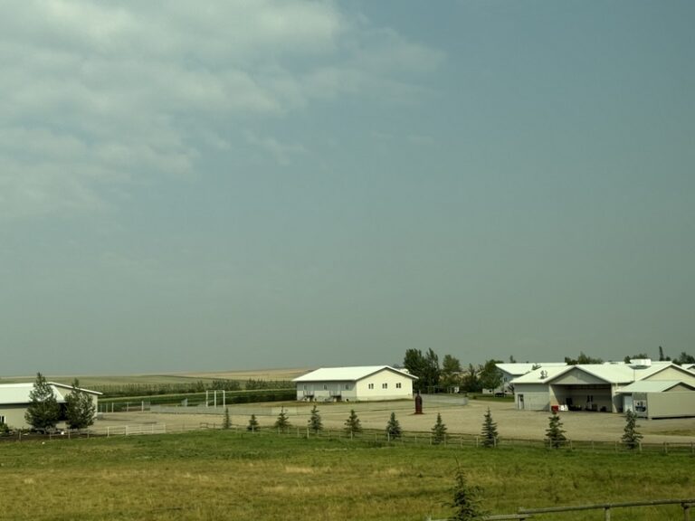 09 IMG 2825