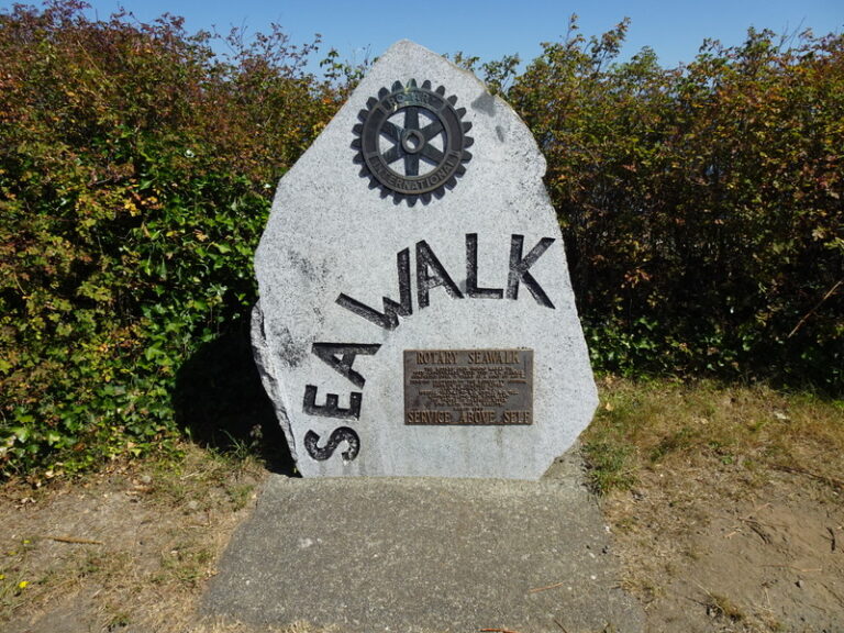 12 DSC02142