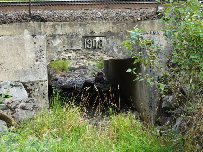 25 DSC02180