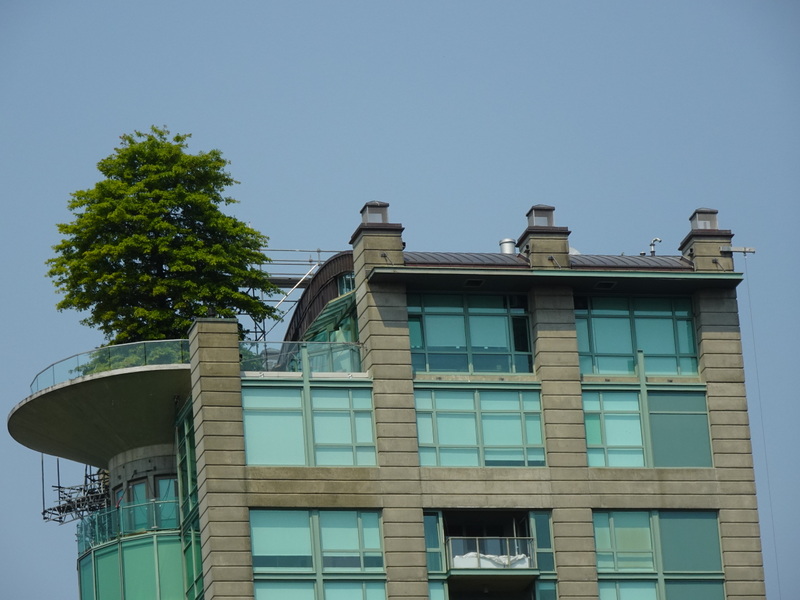 37 DSC01936