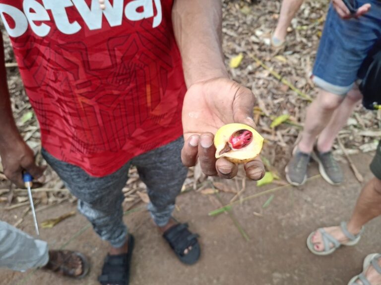 05 20261008 102735