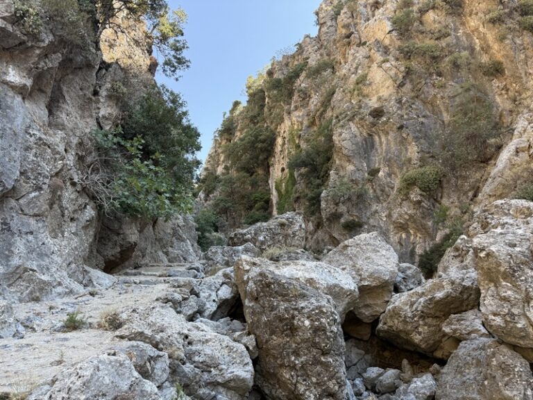 14 IMG 3266