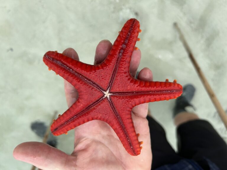 16 IMG 4249