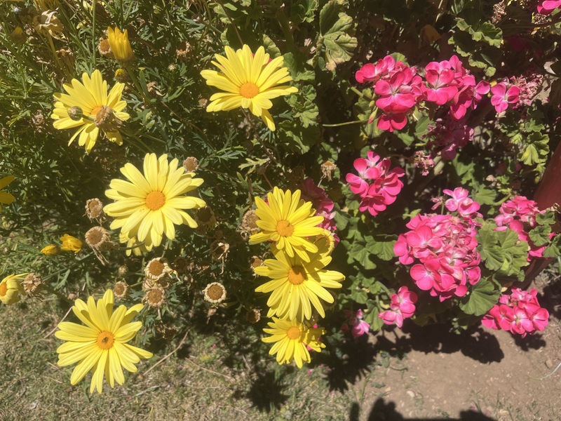 17 IMG 7979