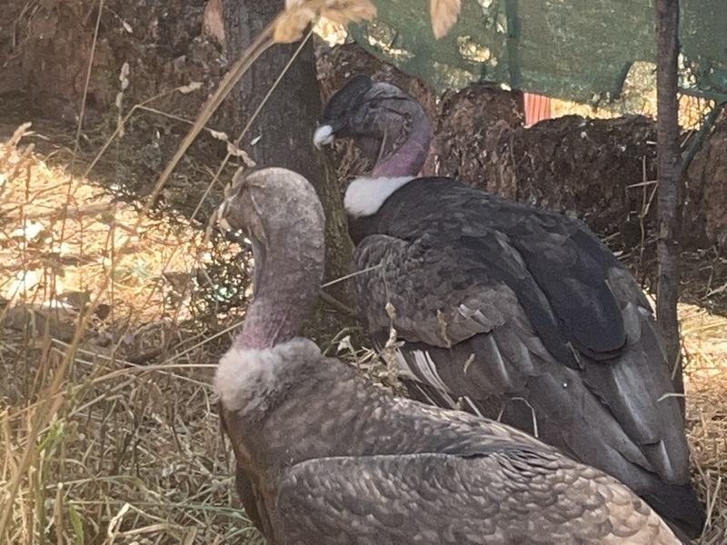 19 IMG 7647