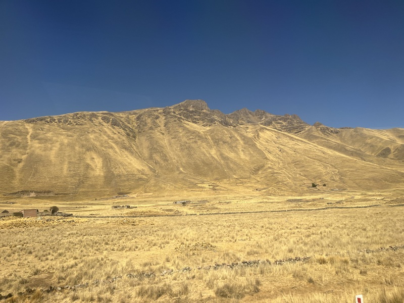 26 IMG 7749
